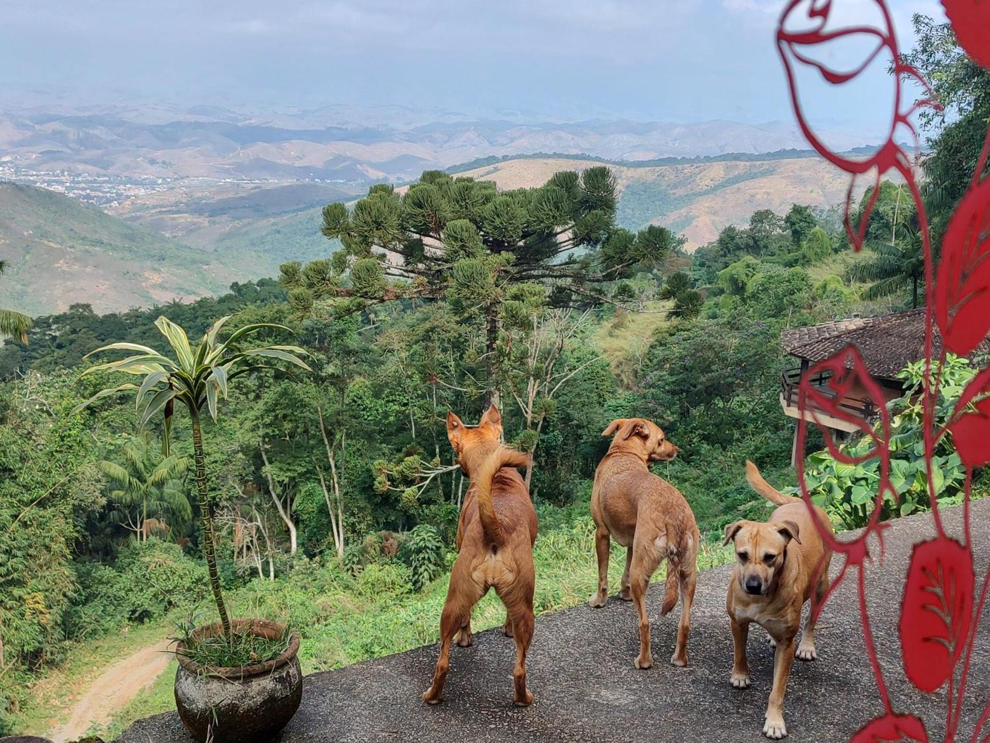 Vista Linda Hotel Itatiaia  Ngoại thất bức ảnh